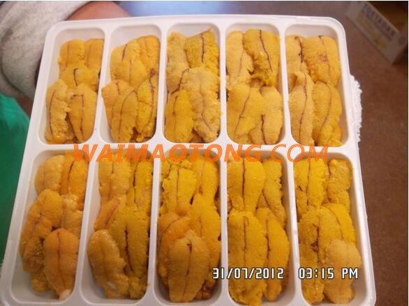 High Quality Red and Purple Sea Urchin Roe