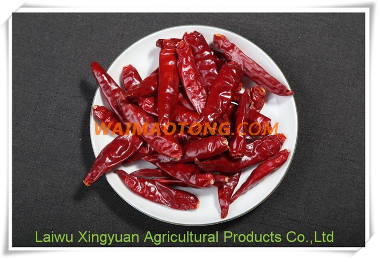 High quality organic red chili powder