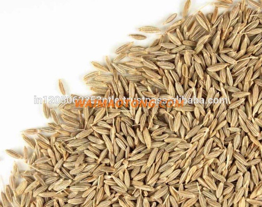 High quality wholesale price Herb & Spices Indian origin Cumin Seeds