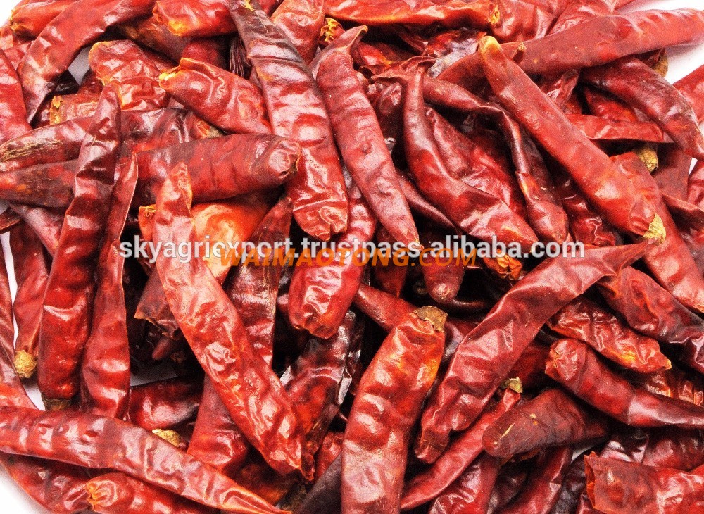 Best Quality Indian Red Chilli Exporters