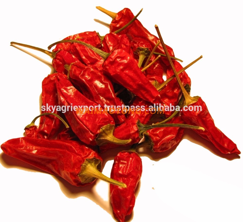 Best Quality Indian Red Chilli Exporters