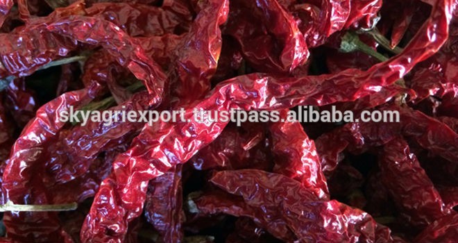 Best Quality Indian Red Chilli Exporters