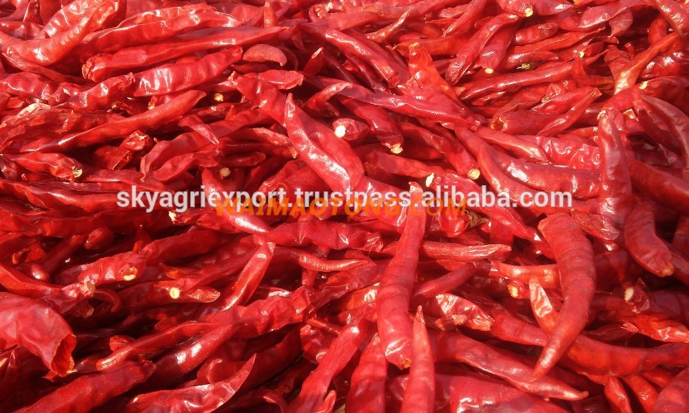 Best Quality Indian Red Chilli Exporters