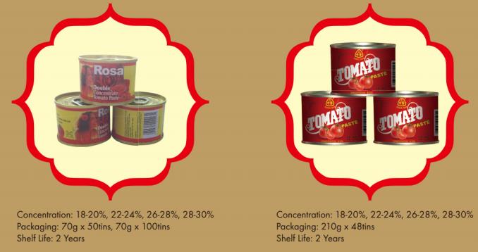 Factory supply Canned export prices canned tomato paste