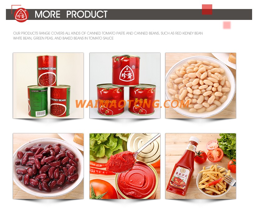 Factory supply Canned export prices canned tomato paste