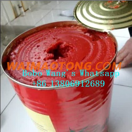 Double Concentrate Canned Tomato Paste