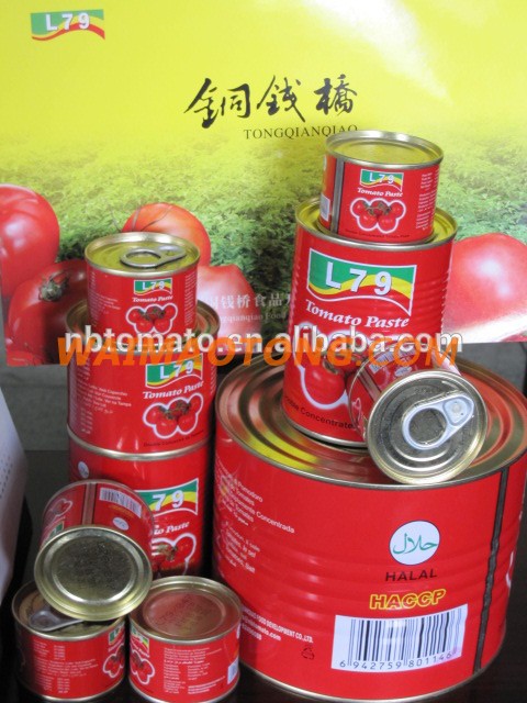 400g china canned tomato paste manufacturer factory