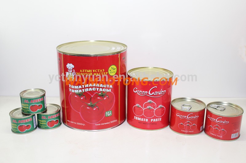 canned tomato paste of brix 28-30% and 22-24% with 70g/198g/210g/400g/800g/2.2kg/3KG/4.5KG