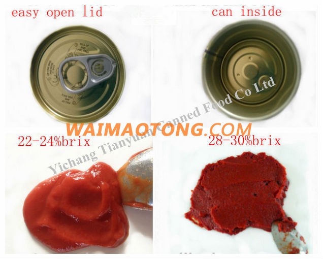 canned tomato paste of brix 28-30% and 22-24% with 70g/198g/210g/400g/800g/2.2kg/3KG/4.5KG