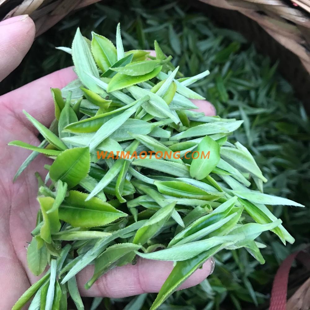 China big top ten selling products lun pictures fats burn tea overseas wholesale suppliers green tea