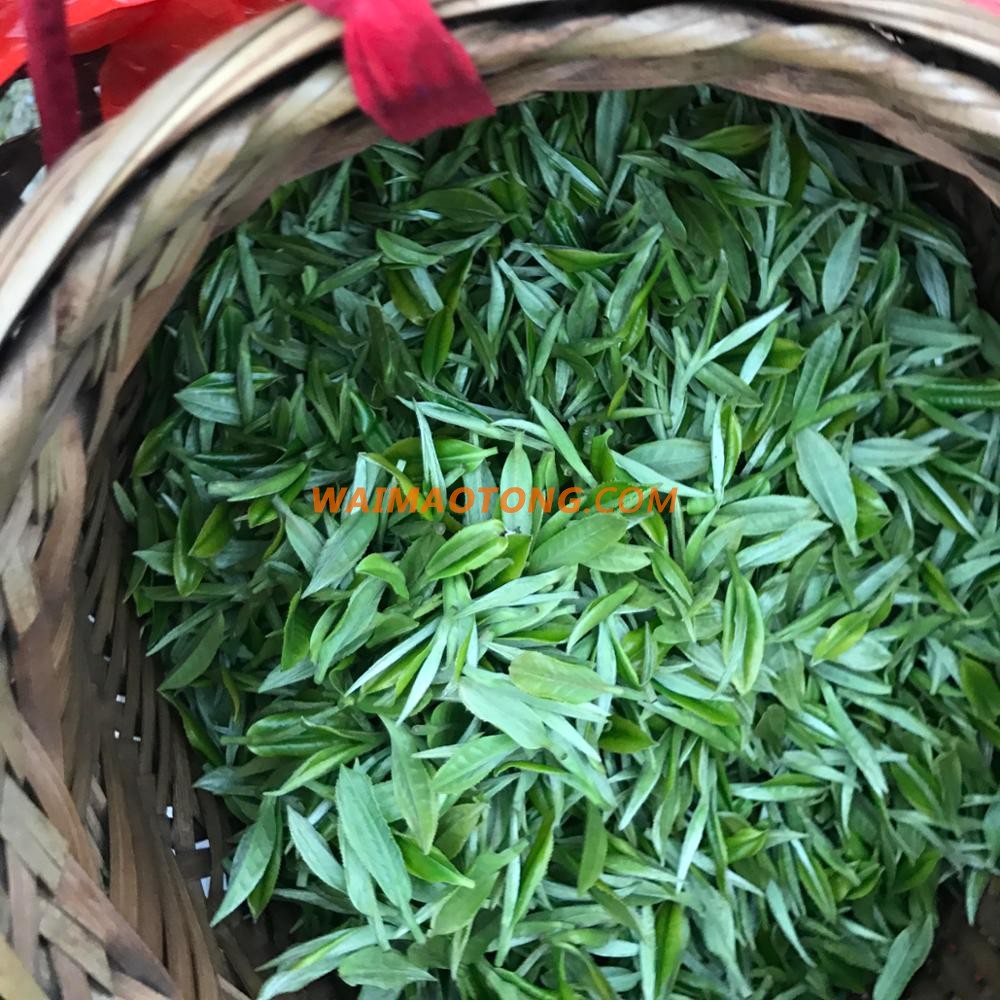 China big top ten selling products lun pictures fats burn tea overseas wholesale suppliers green tea