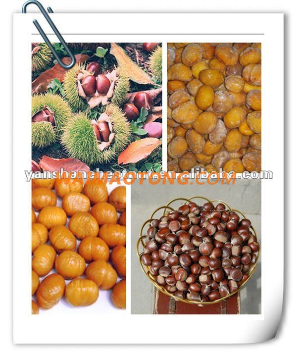 New Healthy Organic Shelled Cooked Chinese Chestnuts Snack Foods with Foil Bag