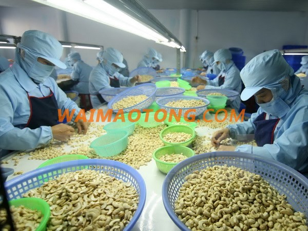 Cashew nuts white whole w240