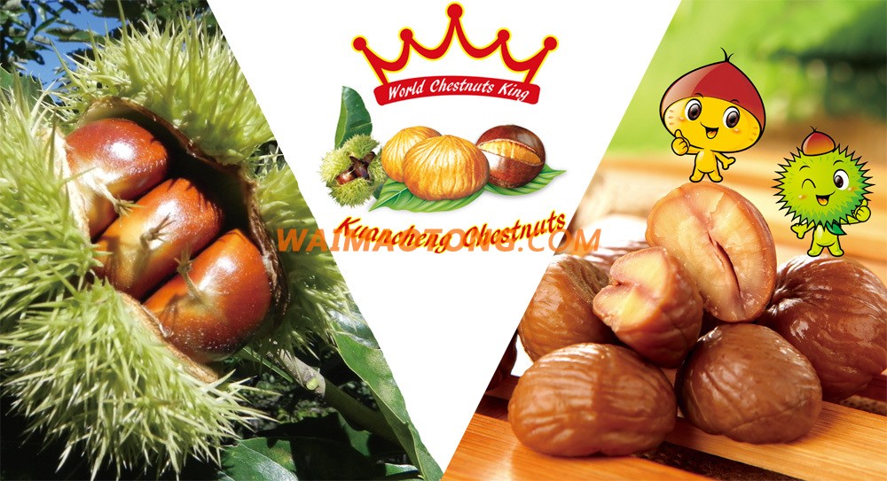 Organic Nut & Kernel Snacks Food---ready to eat chestnuts snacks