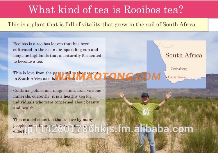 High quality healthy rooibos slimming tea , fast shipping available