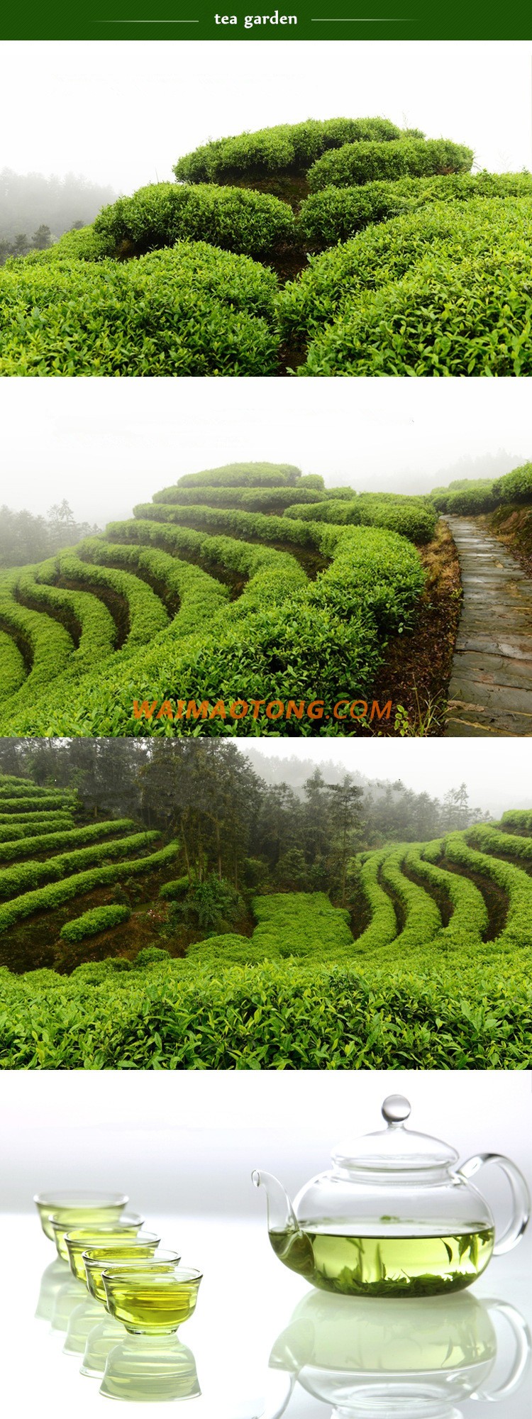 Best Chinese Tea Factory Price Yunnan Black Tea