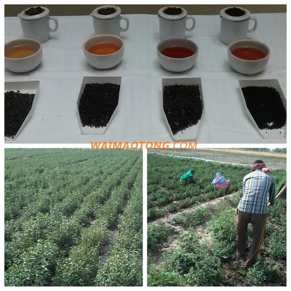 BUY BEST SELLING 100 % NATURAL HIGH QUALITY HEALTH BENEFIT WHOLESALE PRICE BLACK TEA PRIVATE LABEL