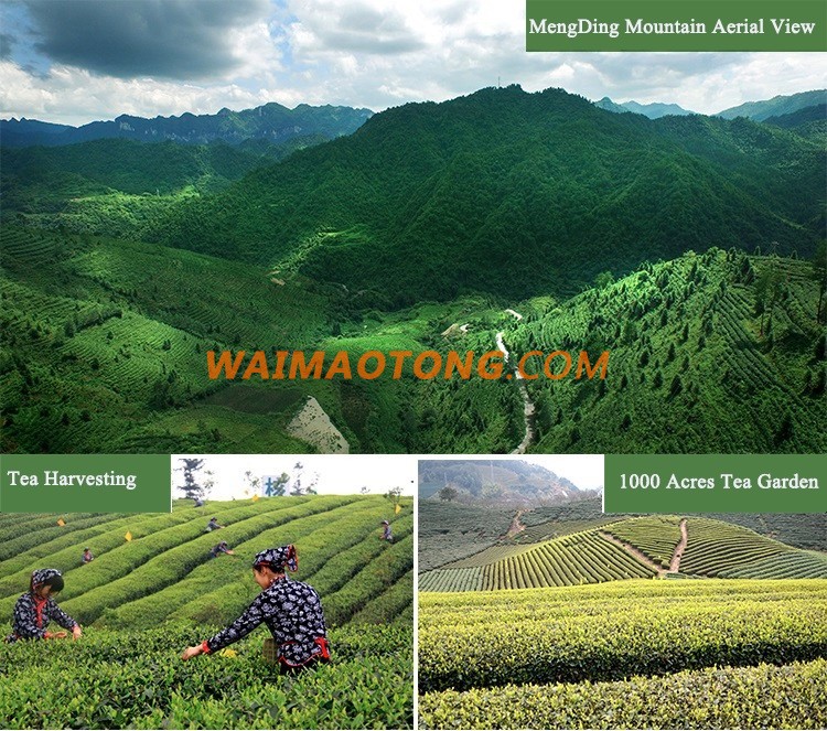 Chinese Wholesale Distributors An Xi Tie Guan Yin Tea Fujian Oolong Tea