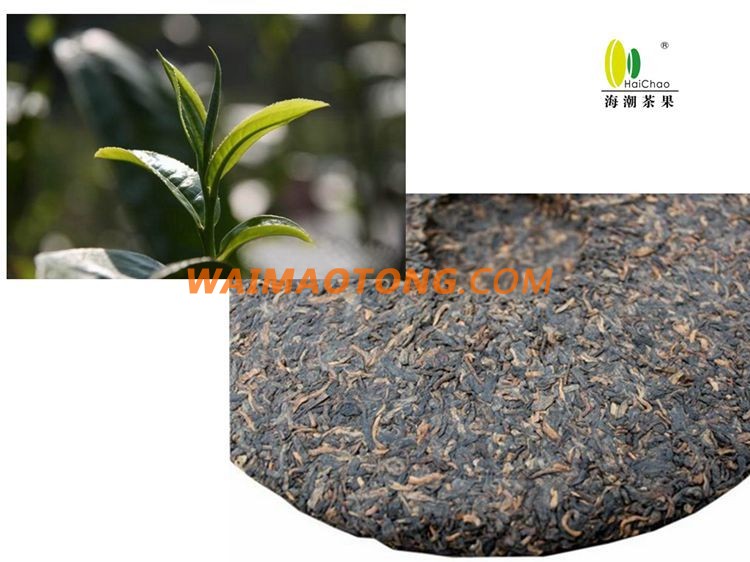 Best Popular Yunnan Puer Tea Slimming Healthy Longevity Tea