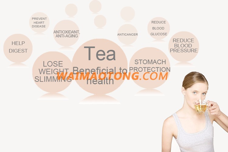 Natural Health Benefit yue guang bai White Tea for Famous Fuding