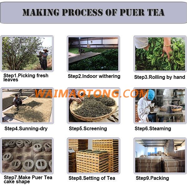 Natural Health Benefit yue guang bai White Tea for Famous Fuding