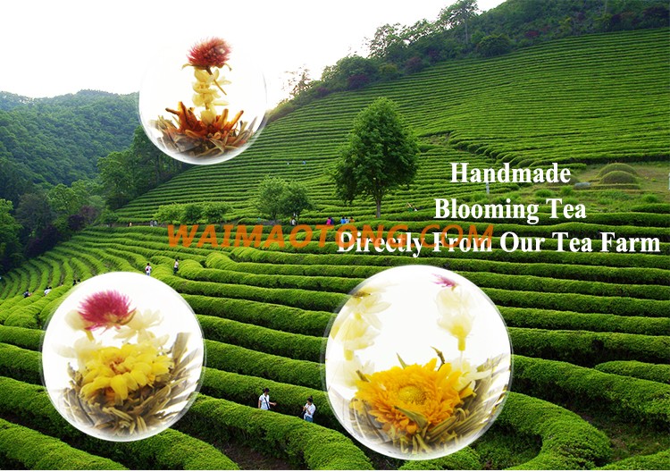 China Art Gift Organic Healthy Jasmine Blooming Flower Tea/Flowering Tea Ball Bloom