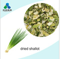 fresh bulk food air dried carrot granules