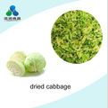 fresh bulk food air dried carrot granules