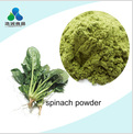 fresh bulk food air dried carrot granules