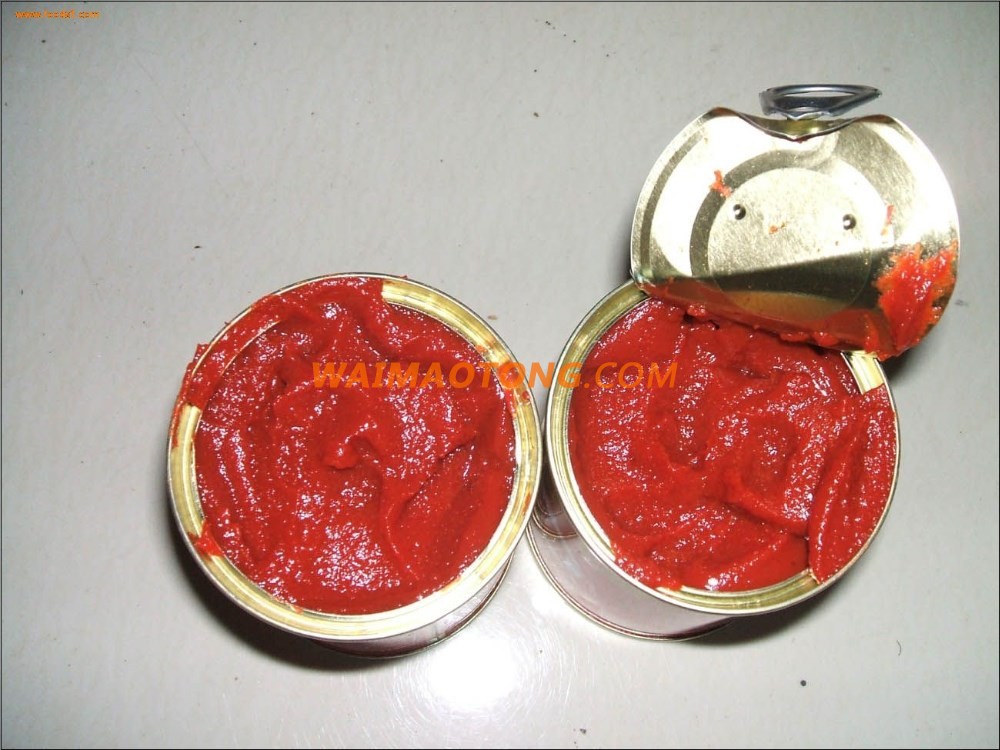 High Quality Best Selling Fresh Raw Material size 70g -4500g Canned tomato paste