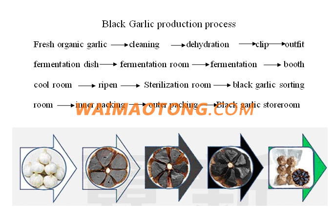 Hot sale of black garlic in the market