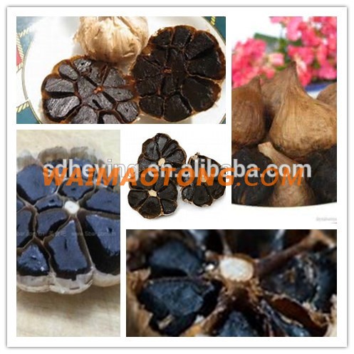 Hot sale of black garlic in the market