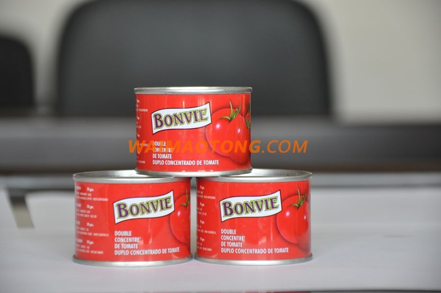 high quality tomato paste jar tomato sauce best price canned tomatoes