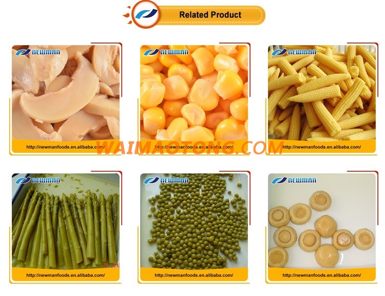 Good quality fresh salty canned food vegetable mushroom brands