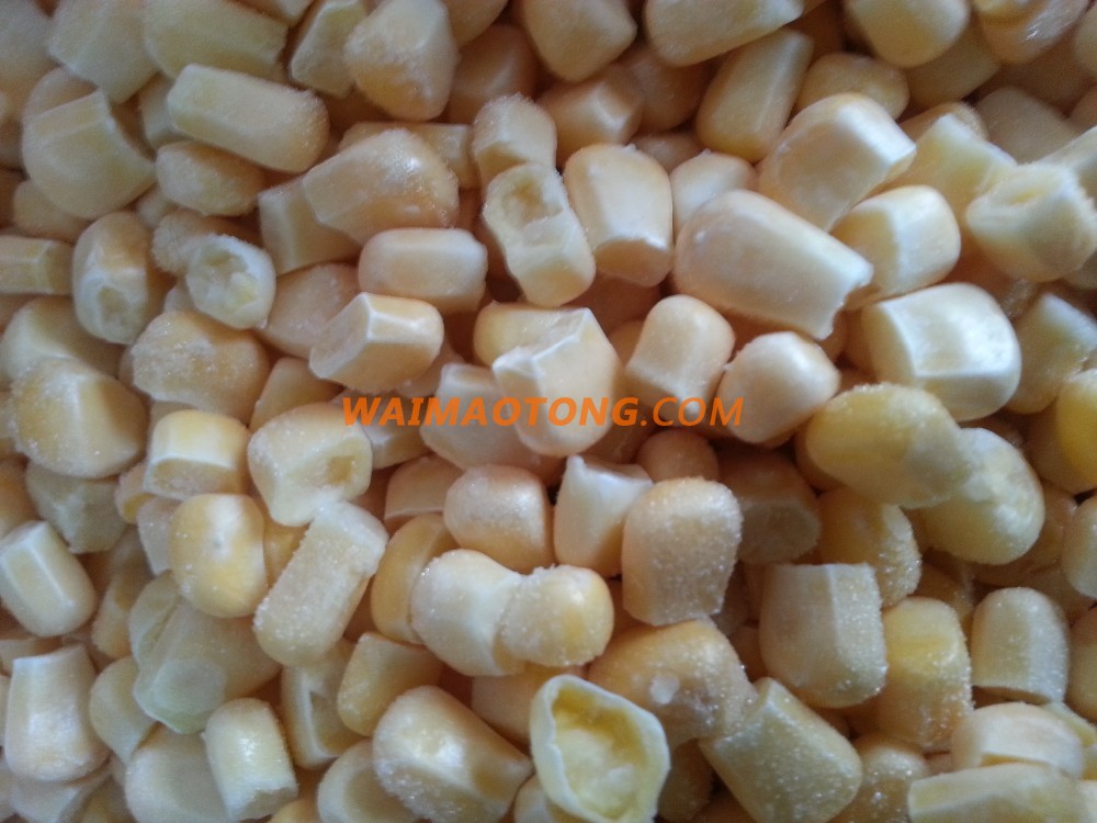 IQF frozen sweet corn kernels and frozen sweet corn cobs price