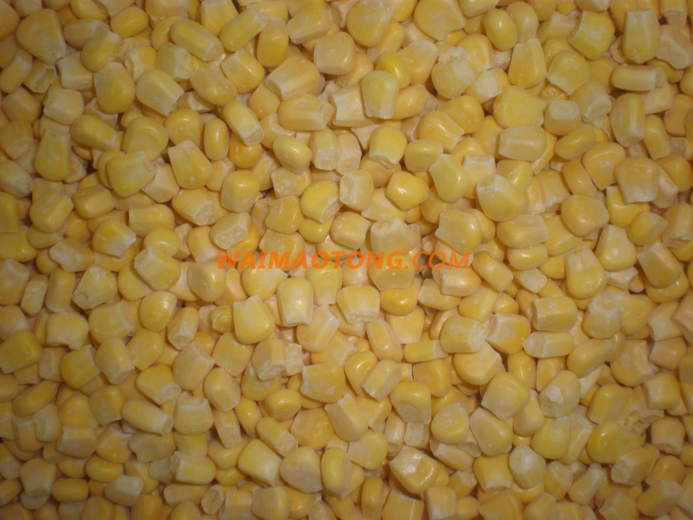 IQF frozen sweet corn kernels and frozen sweet corn cobs price