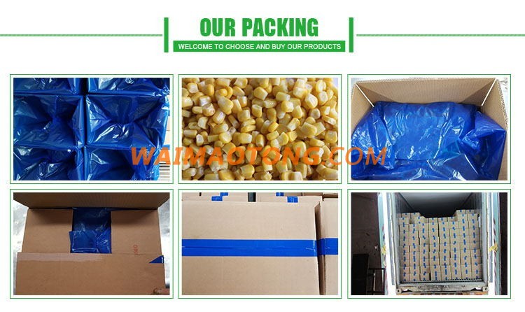 IQF frozen sweet corn kernels and frozen sweet corn cobs price