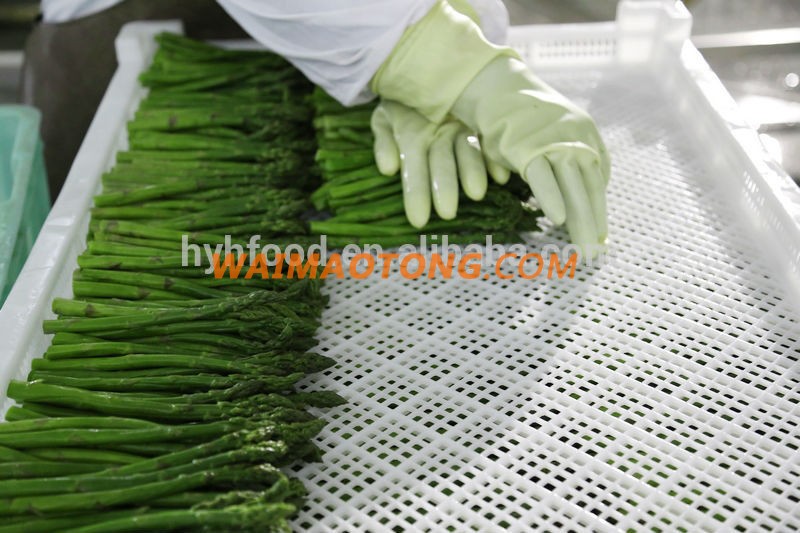 IQF Frozen Green Asparagus