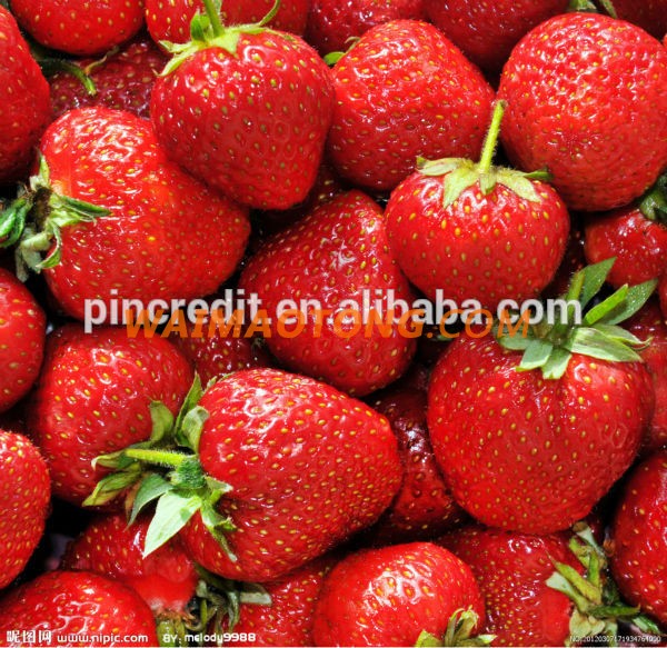 GMP factory supply strawberry fruit powder