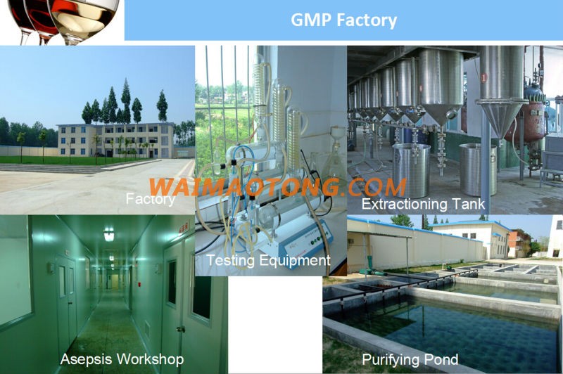 GMP factory supply strawberry fruit powder