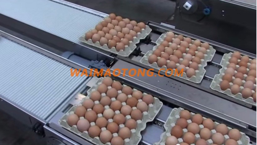 FRESH CHICKEN EGGS WHITE / BROWN FOR SALE