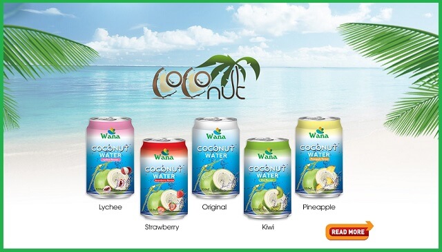 Coconut Water With Pineapple Flavor in 330ml Can