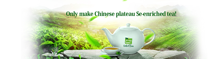 Factory Price organic Chinese green tea with tea service