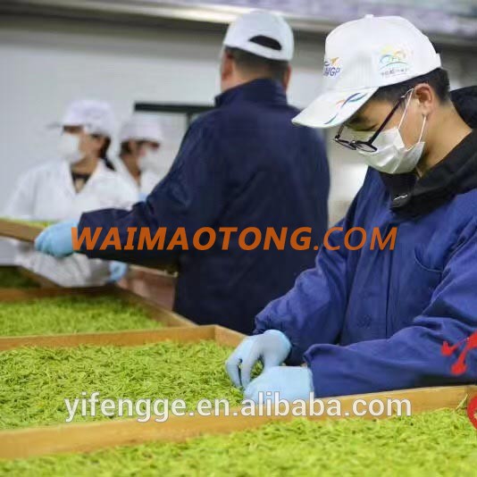 Chinese supplier natural healthy tea extract bubble tea chines figue Old tree White rooibos Tea