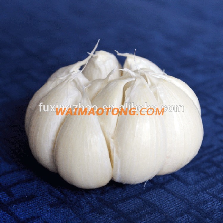 Fresh New Garlic Natural Garlic Chinese Garlic Wholesale