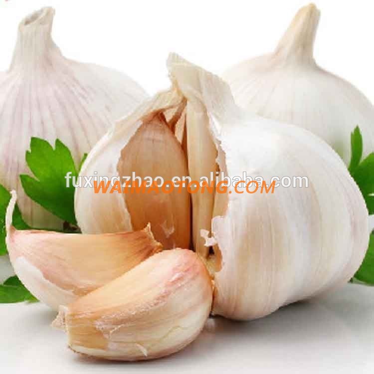 Fresh New Garlic Natural Garlic Chinese Garlic Wholesale