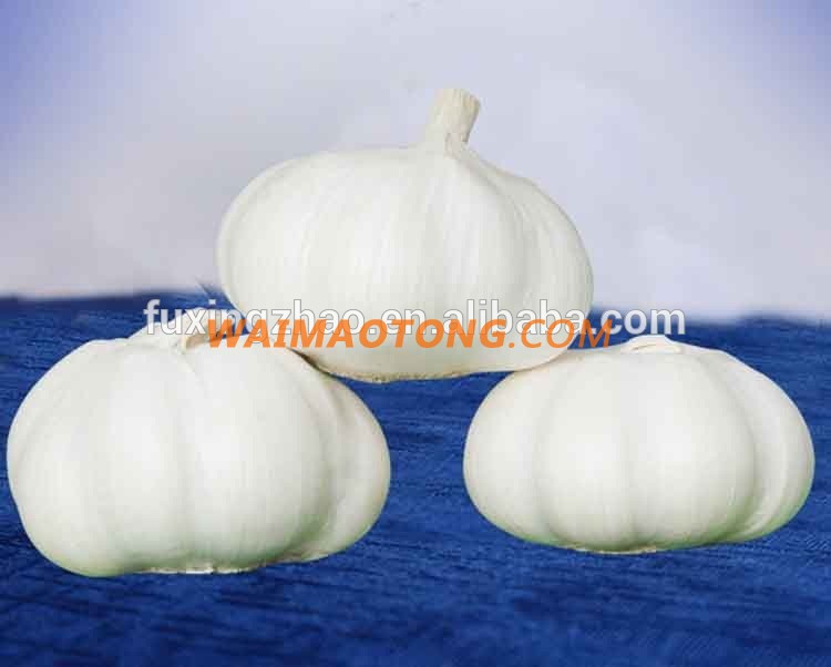 Fresh New Garlic Natural Garlic Chinese Garlic Wholesale