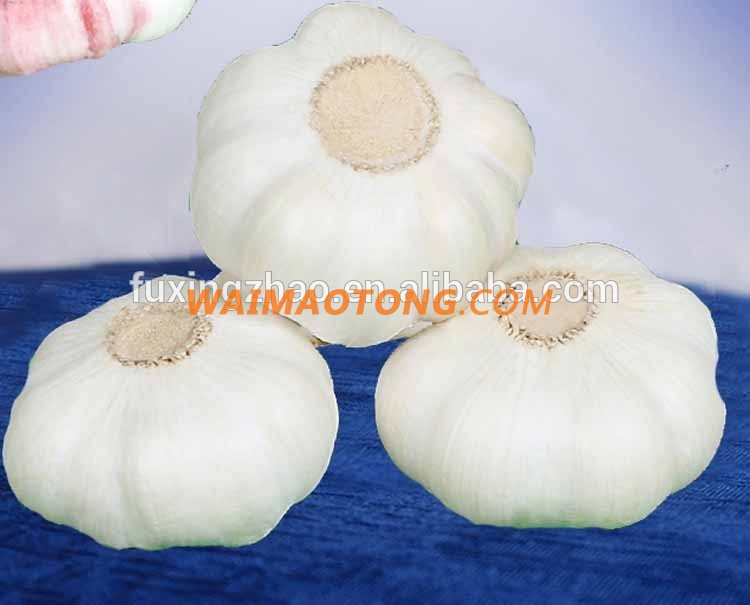 Fresh New Garlic Natural Garlic Chinese Garlic Wholesale