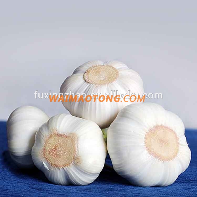 Fresh New Garlic Natural Garlic Chinese Garlic Wholesale