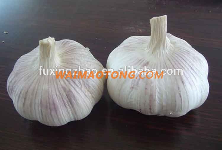 Fresh New Garlic Natural Garlic Chinese Garlic Wholesale